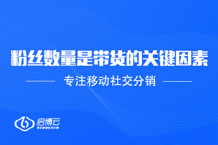 粉丝数量是带货的关键因素
