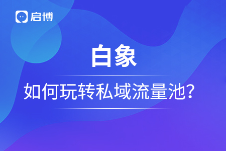 单月120w+销售额，白象如何玩转私域流量池？