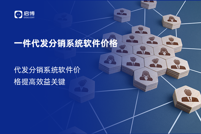 一件代发分销系统软件价格