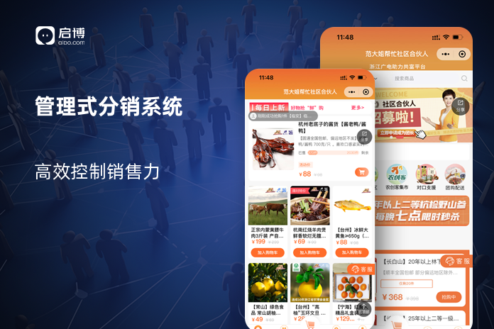 管理式分销系统