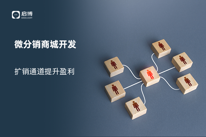 微分销商城开发