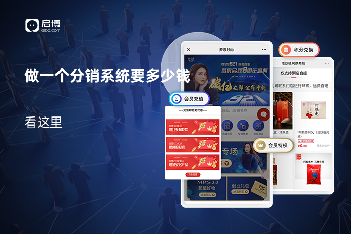 做一个分销系统要多少钱