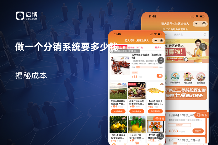 做一个分销系统要多少钱