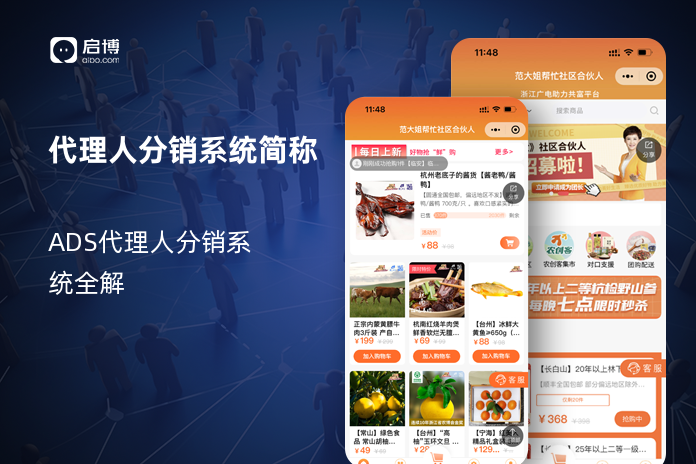 代理人分销系统简称