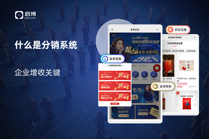 什么是分销系统