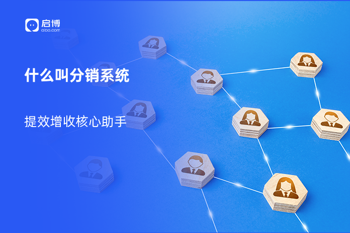 什么叫分销系统