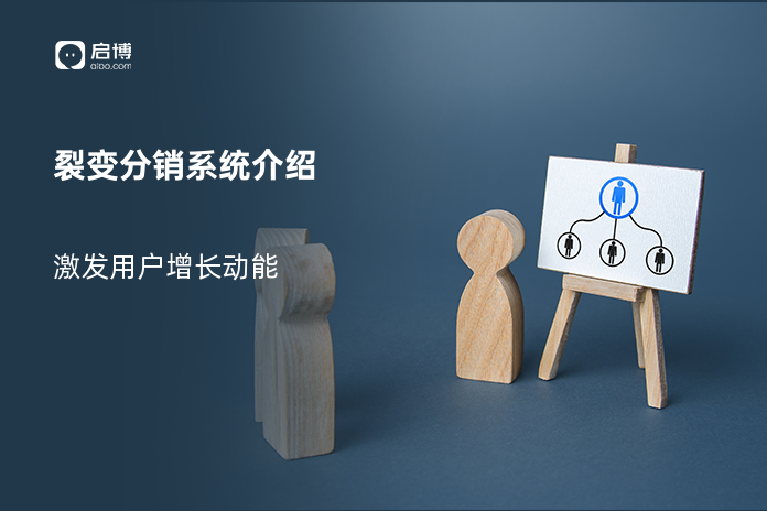 裂变分销系统介绍