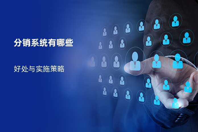 分销系统有哪些