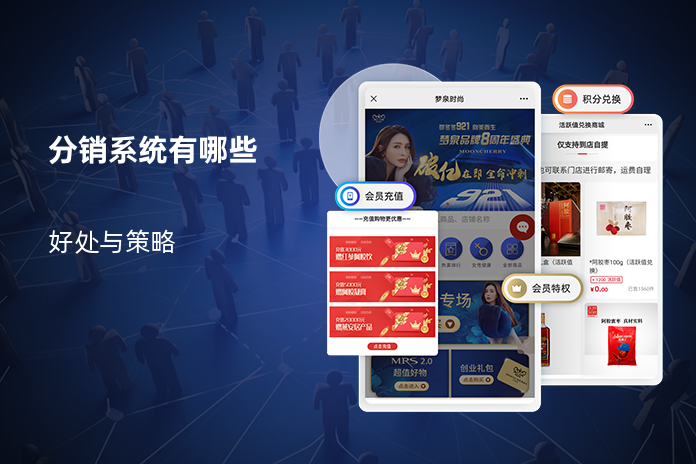 分销系统有哪些