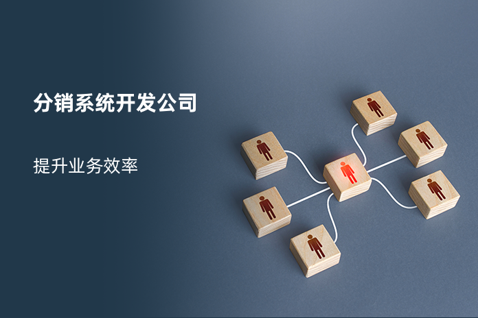 分销系统开发公司
