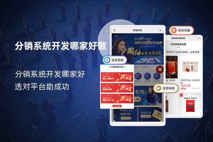 分销系统开发哪家好做