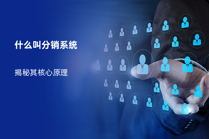 什么叫分销系统