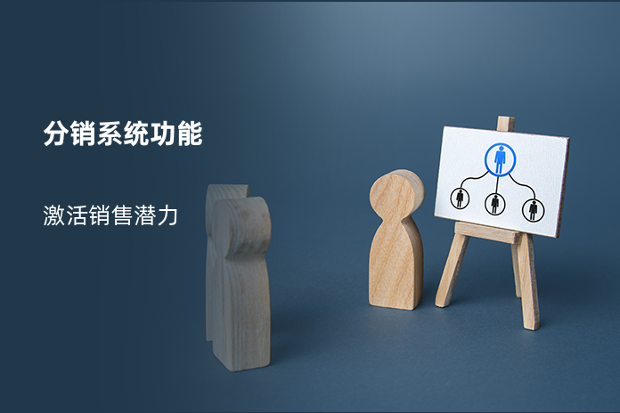 分销系统功能