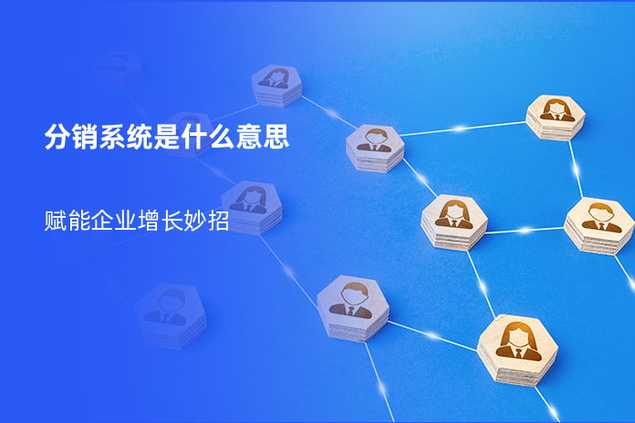 分销系统是什么意思