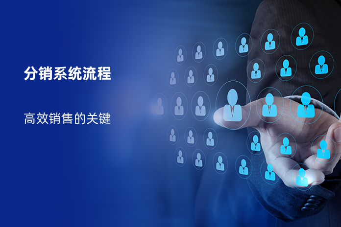 分销系统流程