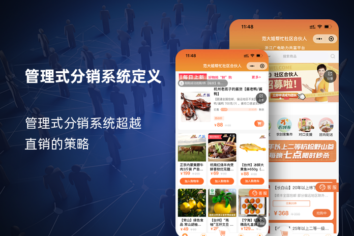 管理式分销系统定义