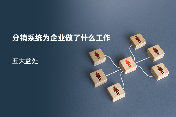 分销系统为企业做了什么工作