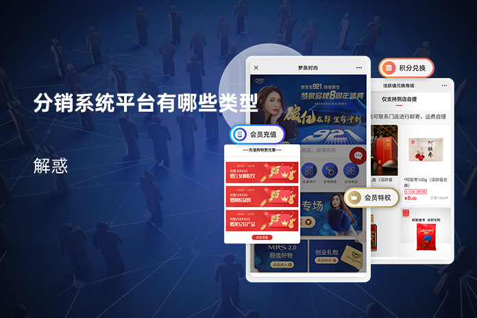 分销系统平台有哪些类型
