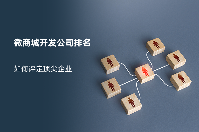 微商城开发公司排名