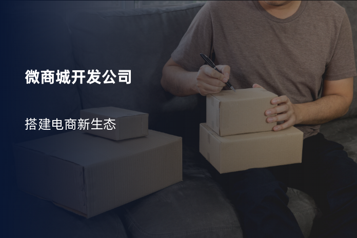 微商城开发公司