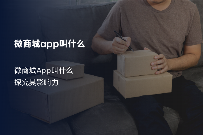 微商城app叫什么