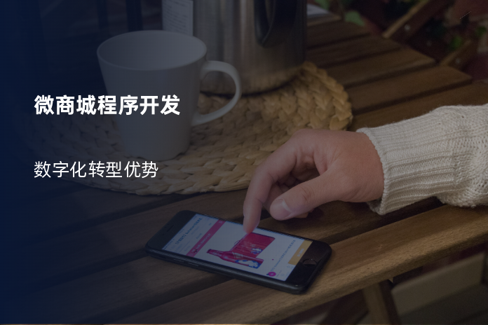 微商城程序开发