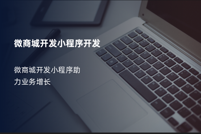 微商城开发小程序开发