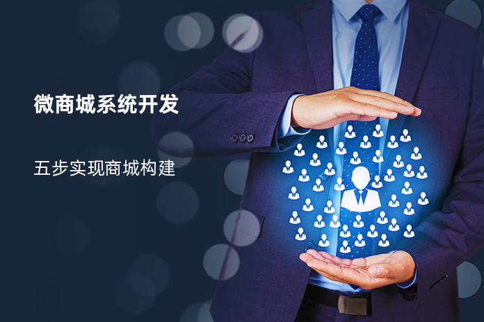 微商城系统开发