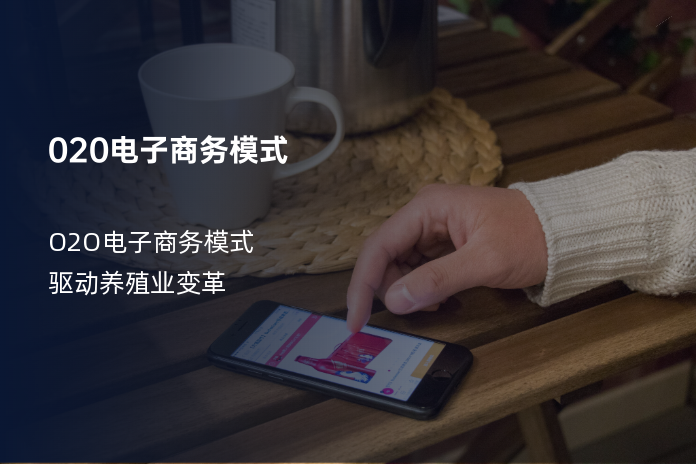 020电子商务模式