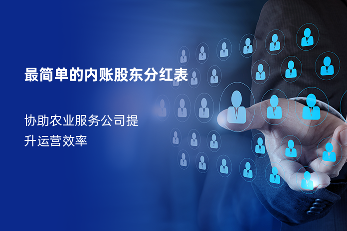 最简单的内账股东分红表