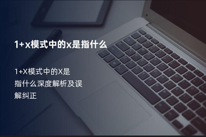 1+x模式中的x是指什么
