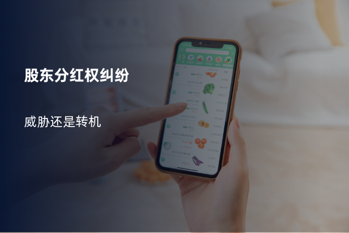 股东分红权纠纷