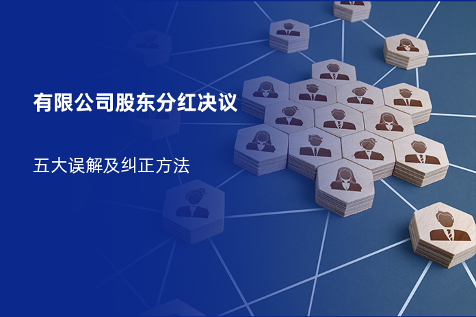 有限公司股东分红决议