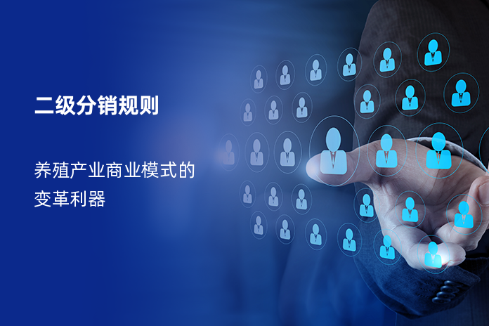 二级分销规则