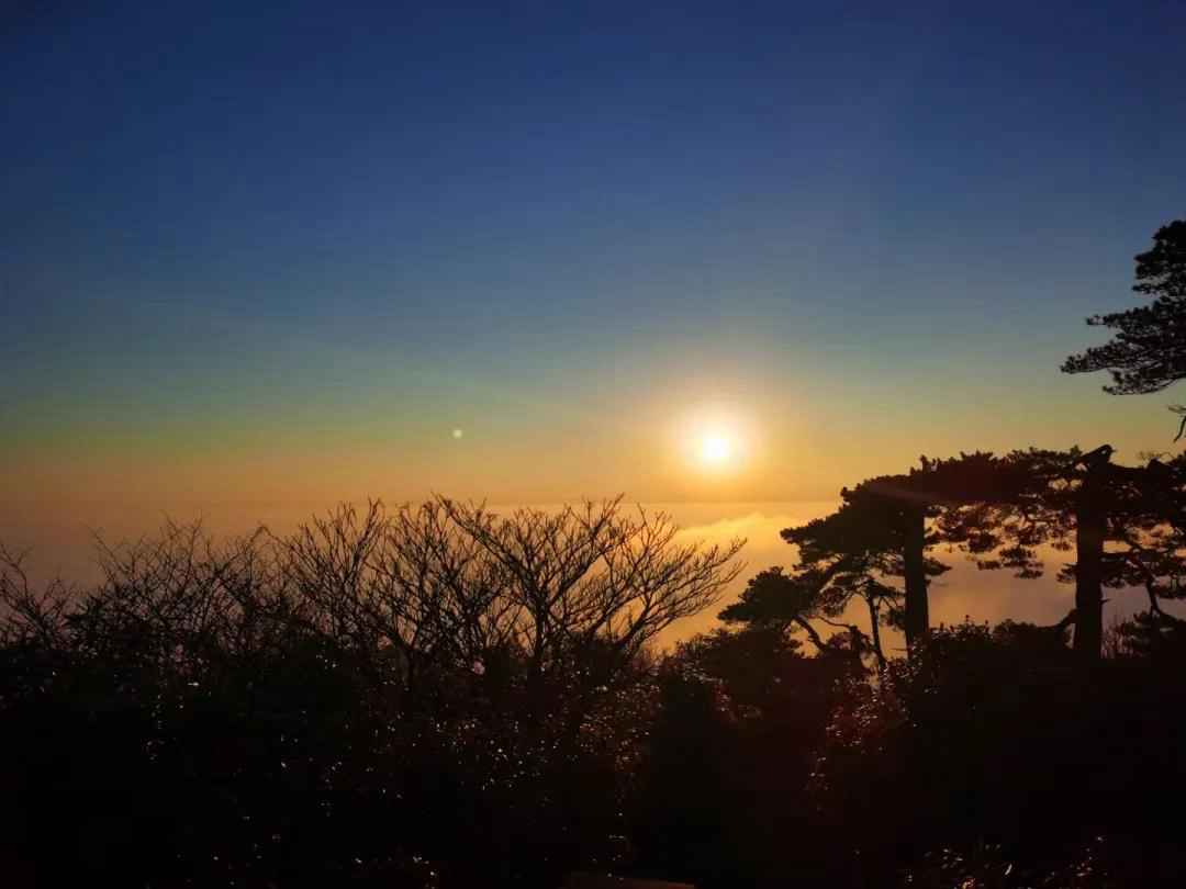 1608034186153001.jpg 1608034186153001.jpg