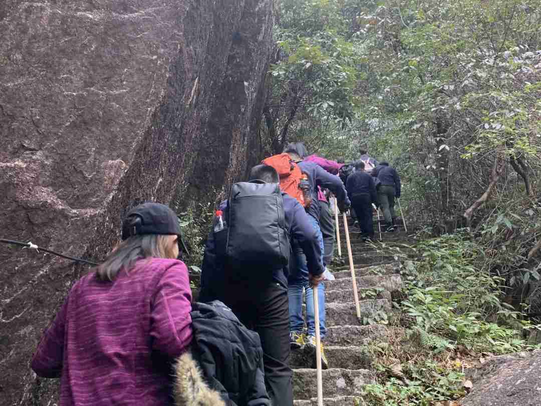 1608034264707402.jpg 1608034264707402.jpg