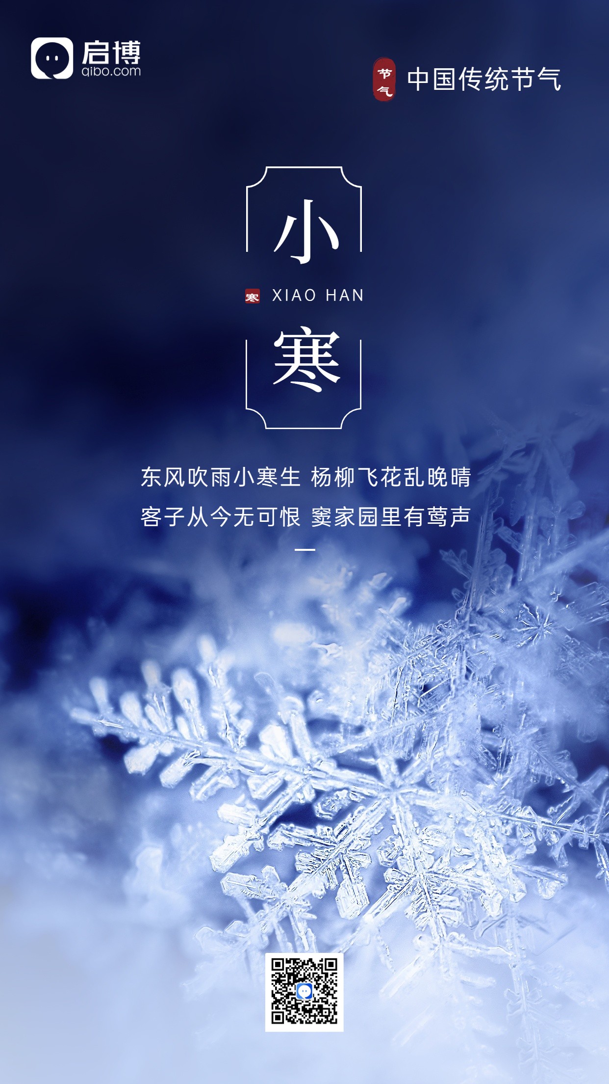 1671444443831339.jpg 1671444443831339.jpg