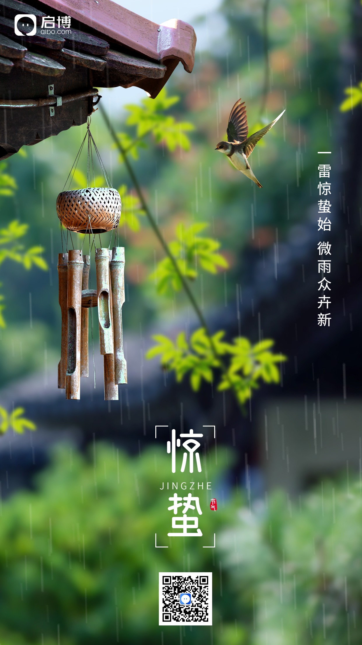 1676882675526591.jpg 1676882675526591.jpg